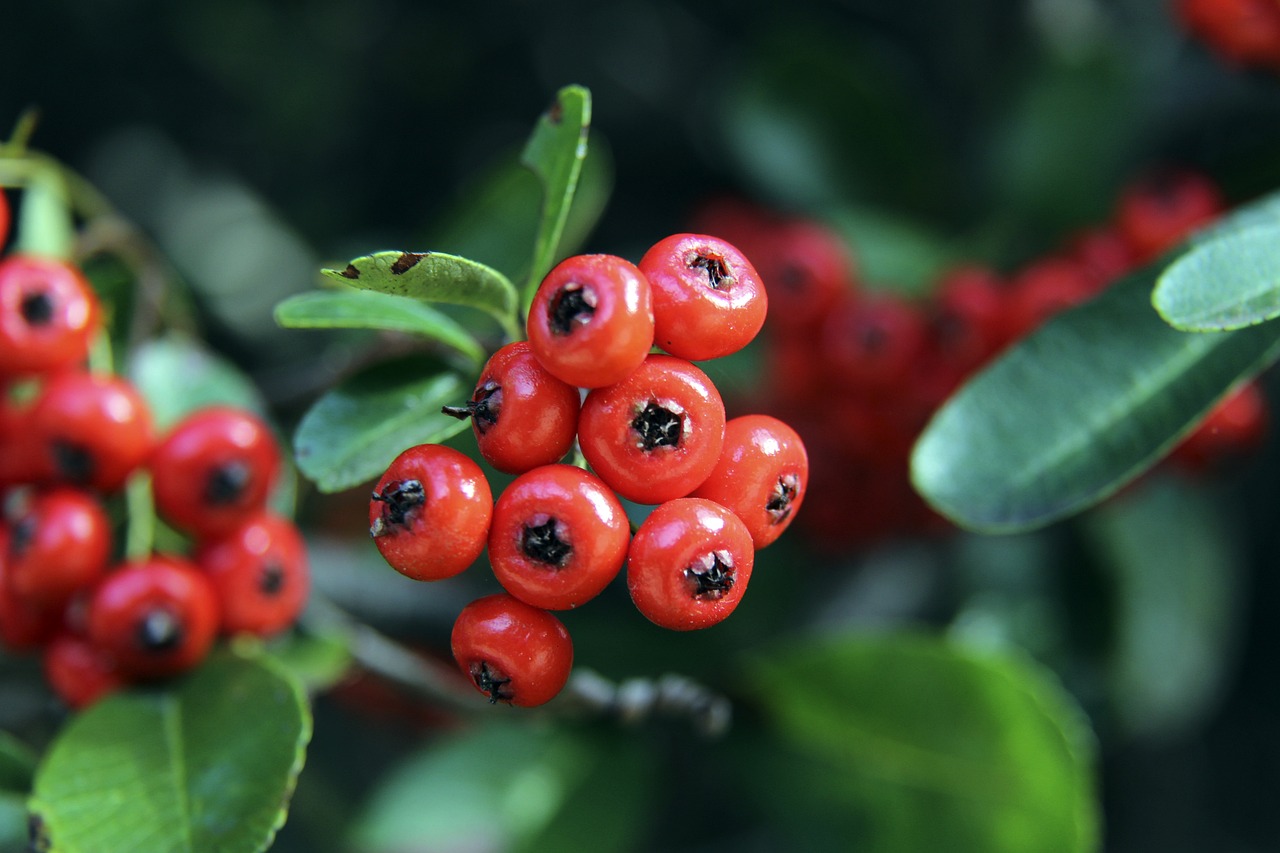 迭代关